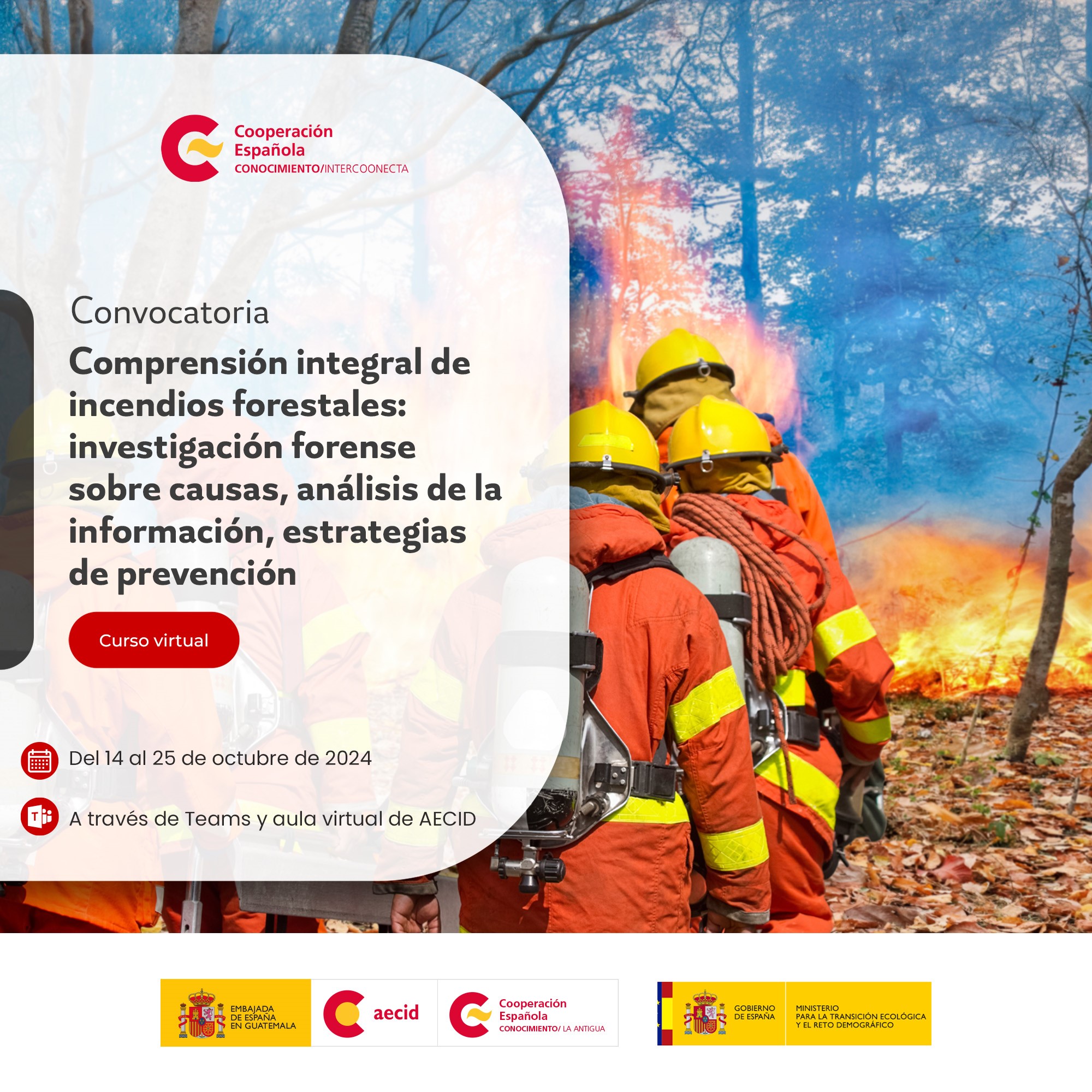 Convocatoria abierta al curso virtual 