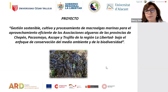 Iniciativa del Fondo de Innovación beneficiará a 250 pescadores algueros de La Libertad